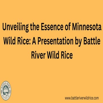 Minnesota Wild Rice.pdf