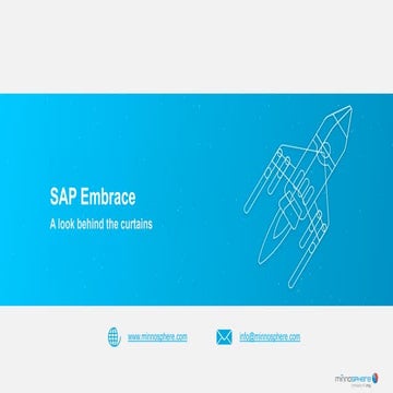 SAP Embrace - A Look behind the curtains (by minnosphere)