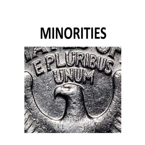 Ethnic Minorities in America 2016