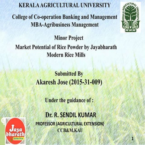 PROJECT REPORT PRESENTATION ON MARKET POTENTIAL OF RICE POWDER BY JAYABHARATH...