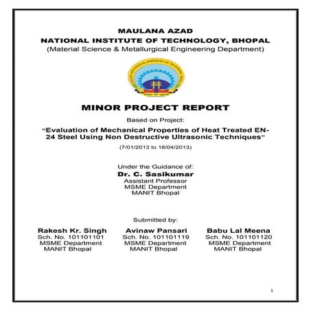 project report 