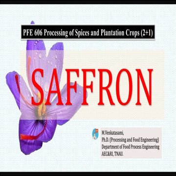 Minor spices saffron