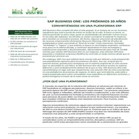 SAP BUSINESS ONE: LOS PRÓXIMOS 20 AÑOS
