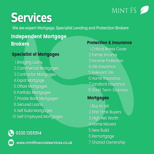 Mint financial Services PPT
