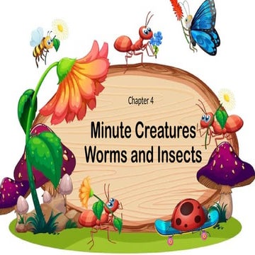 Minute Creatures evs chapter4 grade3.pptx