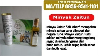 CALL +62 856-9511-1101 Membeli minyak zaitun yang asli, beli minyak zaitun asli online
