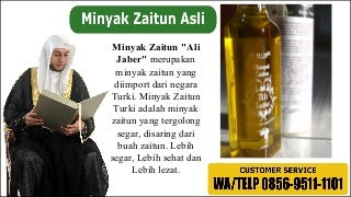 CALL +62 856-9511-1101 Minyak zaitun yg asli, jual minyak zaitun asli bisa diminum