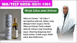 Pesan Sekarang 0856-9511-1101 Minyak zaitun extra virgin original, jual minyak zaitun yang bisa diminumPesan Sekarang 0856-9511-1101 Minyak zaitun extra virgin original, jual minyak zaitun yang bisa diminum