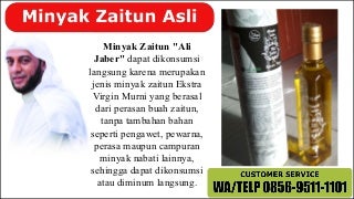 WA.CALL +62 856-9511-1101 Dimana saya bisa beli minyak zaitun, dimana minyak zaitun asli dijual