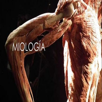 Miologia Generalidades latarjet