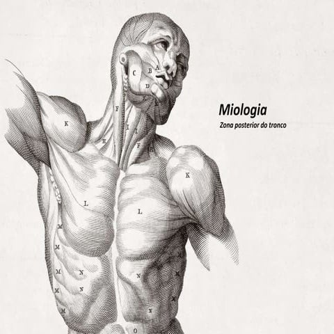 Miologia posterior do tronco