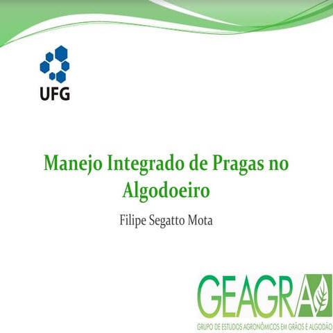 MANEJO INTEGRADO DE PRAGAS NO ALGODOEIRO