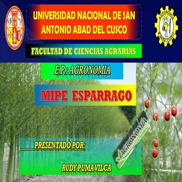 MIPE esparrago - UNSAAC