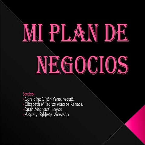 Mi plan de negocios d.