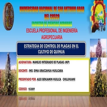MIP en Quinua- Alex Benjamin Huillca Chillihuani -PPT