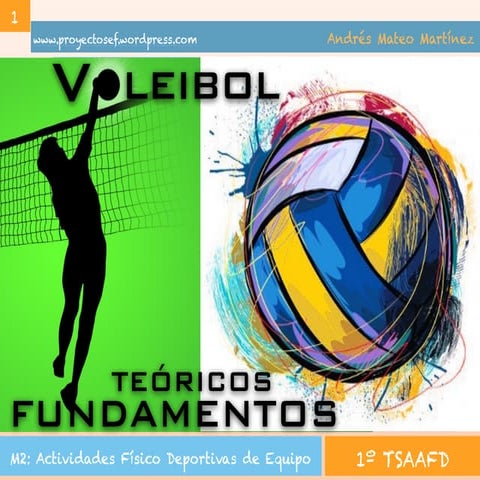 Apuntes de Voleibol. TSEASD/TSAAFD