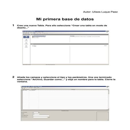 Guia Looker Studio.pdf