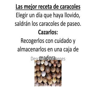 caracoles