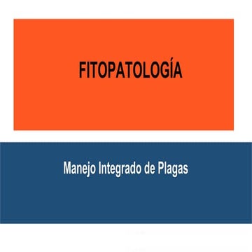 MIP, Síntomas yfasdfasdfasdf Signos de Enfermedades_10.08.2025.pdf