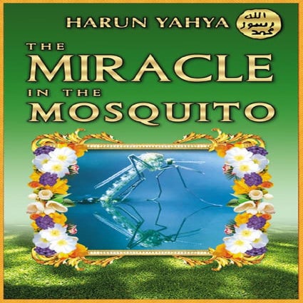Miracle In The Mosquito