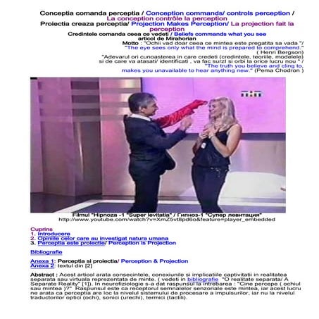 Mirahorian, dan   conceptia comanda perceptia - v.0.9