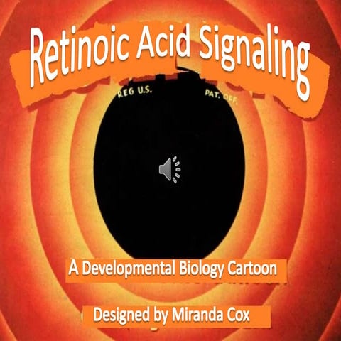 Miranda  Cox  Developmental  Bio