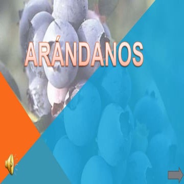 CULTIVOS DE ARÀNDANOS