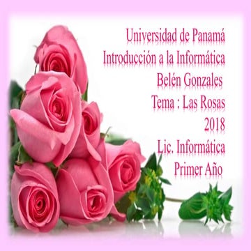 Las Rosas by ( Nathaly Miranda)