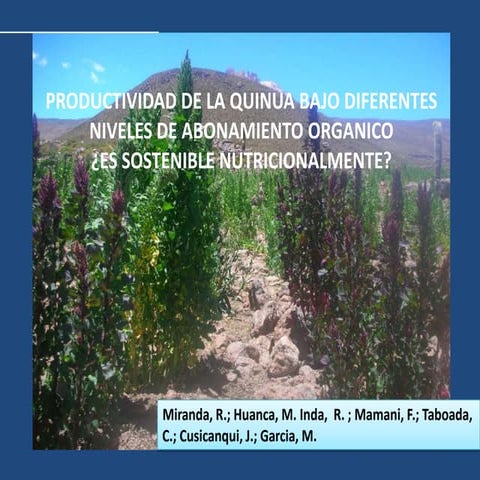 Miranda Roberto-Productividad de la quinua bajo diferentes niveles de abonami...