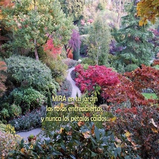 Mira Tu Jardin