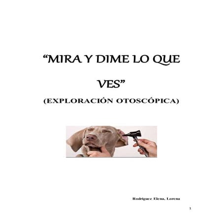 (2017-03-28) "Mira, y dime lo qué ves"(DOC)