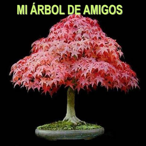 Mi árbol de amigos