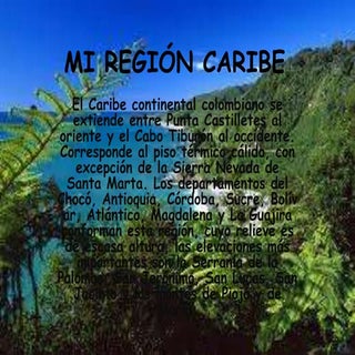 Mi región caribe