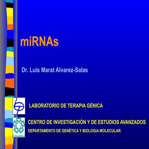 Curso mirna_2025 Dr. Alvarez Cinvestav Maestria Biología celular