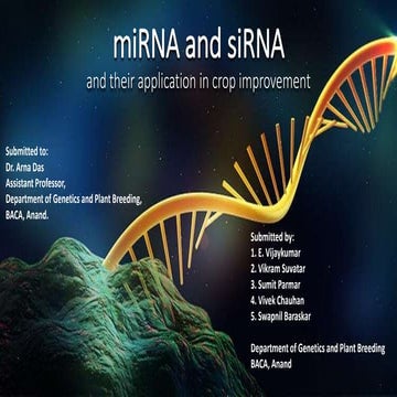miRNA and siRNA (RNAi)