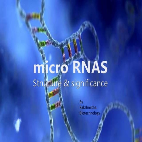 Mirnas