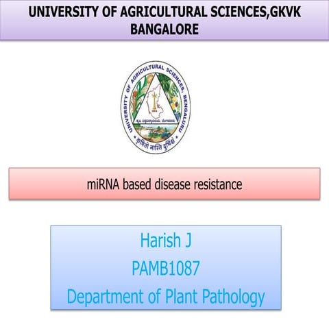 miRNAs based disease resistance.pptx