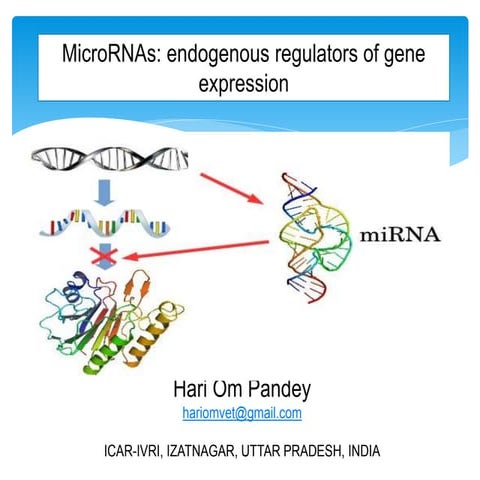 miRNAs endogenous regulator of gene expression