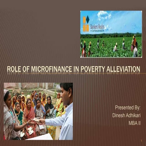 Role of microfinance in poverty allevation