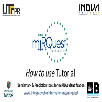 miRQuest - How to use Tutorial