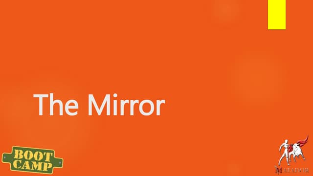 Mirrors