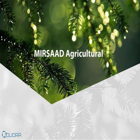 Mirsaad For Palm Oil PPT