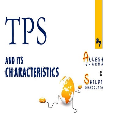 Transaction Processing System (TPS)