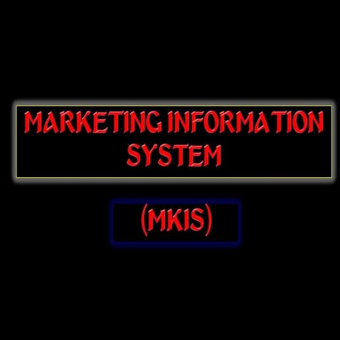 MARKETING INFORMATION SYSTEM
