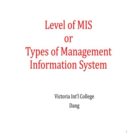 Mis management information system | PDF