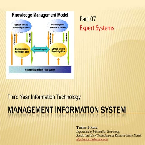 MIS 07  Expert Systems
