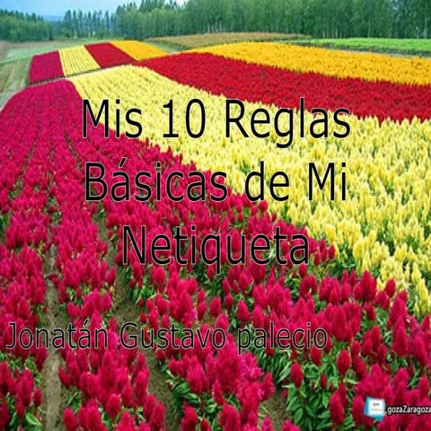 Mis 10 reglas básicas de mi netiqueta