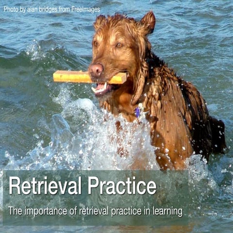 Make It Stick 2: Retrieval