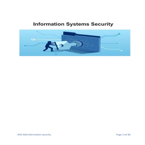 MIS 428  information secuirty v1.pdf