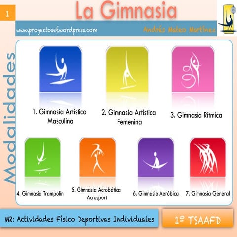 La gimnasia. Modalidades